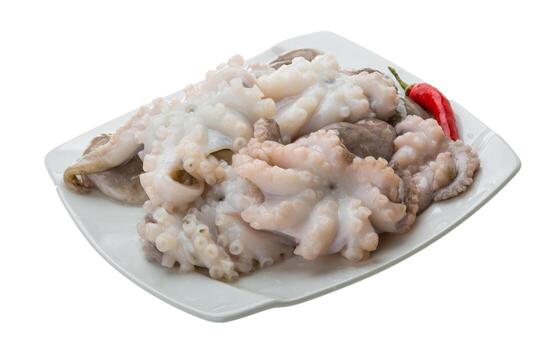 Raw octopus meal photo