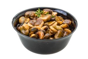 Broad beans in a bowl on white background photo