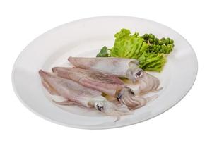 Raw calamari on the plate and white background photo