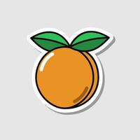 Vector apricot sticker in cartoon style. Isolated fruit with shadow.