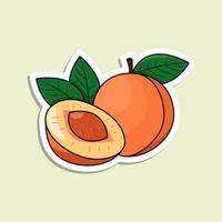 Vector colorful peach sticker. Isolated orange fruit with lines and highlights. Riped peach with stone in cartoon style on the light green background.