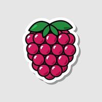 Vector raspberry sticker in cartoon style. Isolated berry with shadow.