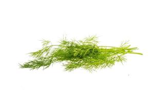 Dill branch on white background photo