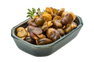 Broad beans in a bowl on white background photo