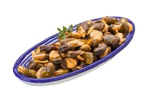 Broad beans in a bowl on white background photo