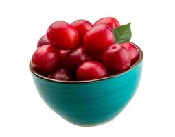 Damson plum in a bowl on white background photo