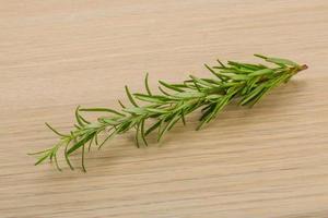 Rosemary plant on wooden background photo