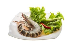 Tiger prawn on the plate and white background photo