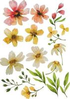 watercolor flower blossom elemets vector