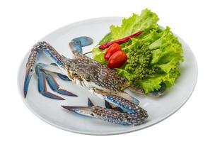 Raw blue crab photo