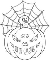 Pumpkin With Spier Web vector