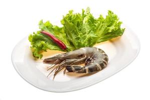 Tiger prawn Tiger prawn on the plate and white background photo