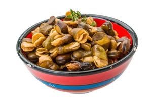 Broad beans in a bowl on white background photo