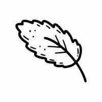 Oak leaf. Vector illustration of doodles. Sketch.