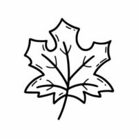 Maple leaf. Autumn badge. Vector doodle illustration. Sketch.