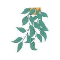 Hand drawn hanging house plant, flat vector illustration isolated on white background. Potted plant with green leaves hanging down. Cute indoor plant in yellow pot.
