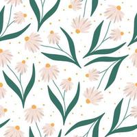 Chamomile summer or spring seamless pattern, flat vector illustration on white background. Cute daisy flowers. Floral repeated pattern.