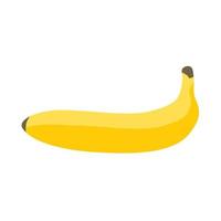 plátano natural dulce vegetariano amarillo plano icono aislado blanco fruta vector