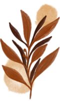 Aesthetic flower plant leaves png