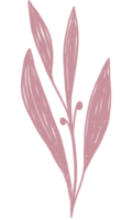 Ästhetische Blumenpflanzenblätter png