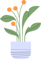 Ästhetische Blumenpflanzenblätter png