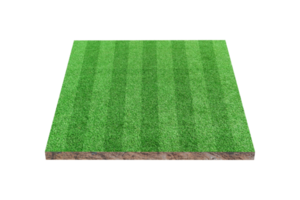fútbol de hierba verde o campo de fútbol aislado png