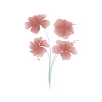 waterverf hibiscus pro png