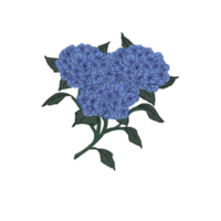 Hand-drawing hydrangea flower Pro png