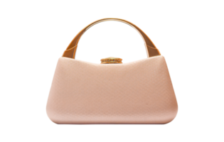 Clutch bag, Female bag Isolated. png