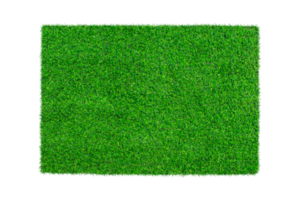Artificial green carpet grass isolated png