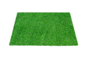 Artificial green carpet grass isolated png