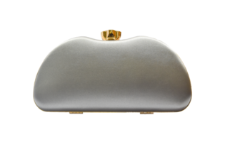 Clutch bag, Female bag Isolated. png