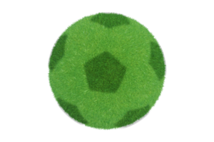 Fußball des grünen Grases lokalisiert png