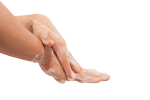 Dames hand- het wassen geïsoleerd Aan wit. png