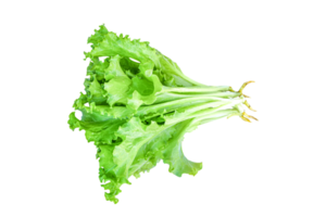 Green lettuce leaves, salad isolated png