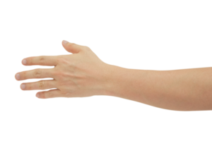 Man hand gesture isolated. png