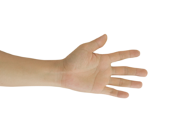 Man hand gesture isolated. png