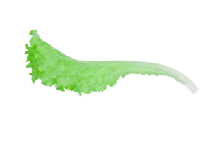 Green lettuce leaves, salad isolated png