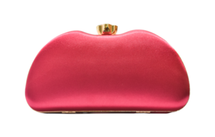Clutch bag, Female bag Isolated. png