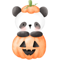 halloween panda vattenfärg png