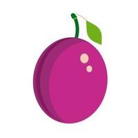 Plum purple healthy ripe summer plant. Green tasty diet vector icon. Fruit food illustration organic berry