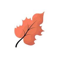 Fantasy autumn tree leaf. Abstract  Leaf shape for design. Isolated on white background. vector