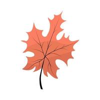 Fantasy autumn tree leaf. Abstract  Leaf shape for design. Isolated on white background. vector