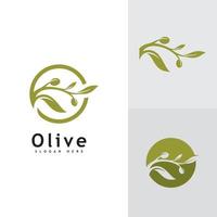 plantilla de vector de diseño de logotipo de aceite de oliva