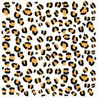 piel de animal de patrón de leopardo naranja, fondo africano, textura de piel sin costuras, patrón de leopardo, textura de piel, patrones de piel de animal sin costuras leopardo vector