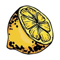 Vector lemon clipart. Hand drawn citrus icon. Fruit illustration. For print, web, design, decor