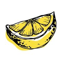 Vector lemon clipart. Hand drawn citrus icon. Fruit illustration. For print, web, design, decor