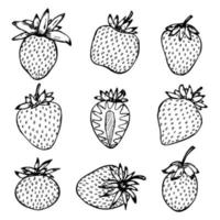 conjunto de vectores de imágenes prediseñadas de fresa. icono de baya dibujado a mano. ilustración de frutas para impresión, web, diseño, decoración, logotipo.