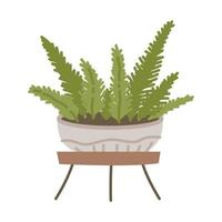 Plant in hanging pot. Houseplant hang on rope, decorative indoor plant, vector