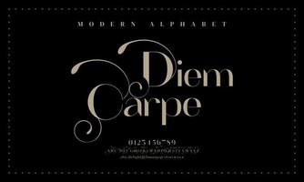 Abstract Fashion font alphabet. Typography typeface uppercase lowercase and number. vector illustration